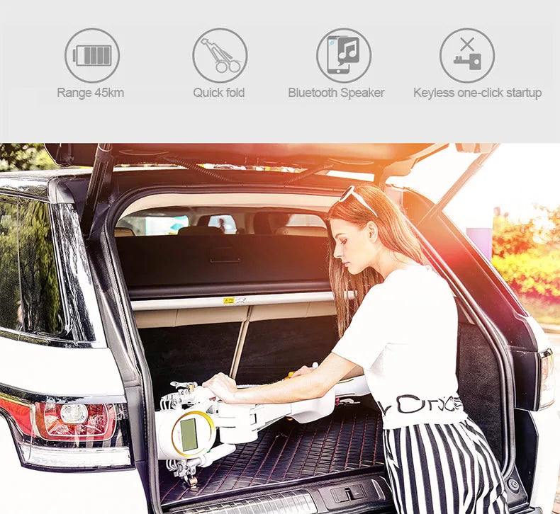 12"LEHE Electric scooter Smart city walking electric bicycle mini folding  electric bike instead  walking tool 36v li-ion ebike