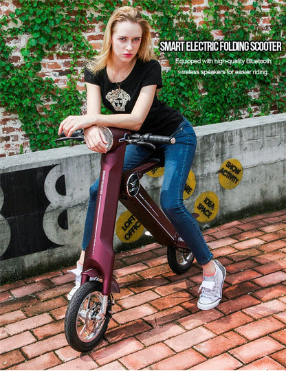 12"LEHE Electric scooter Smart city walking electric bicycle mini folding  electric bike instead  walking tool 36v li-ion ebike