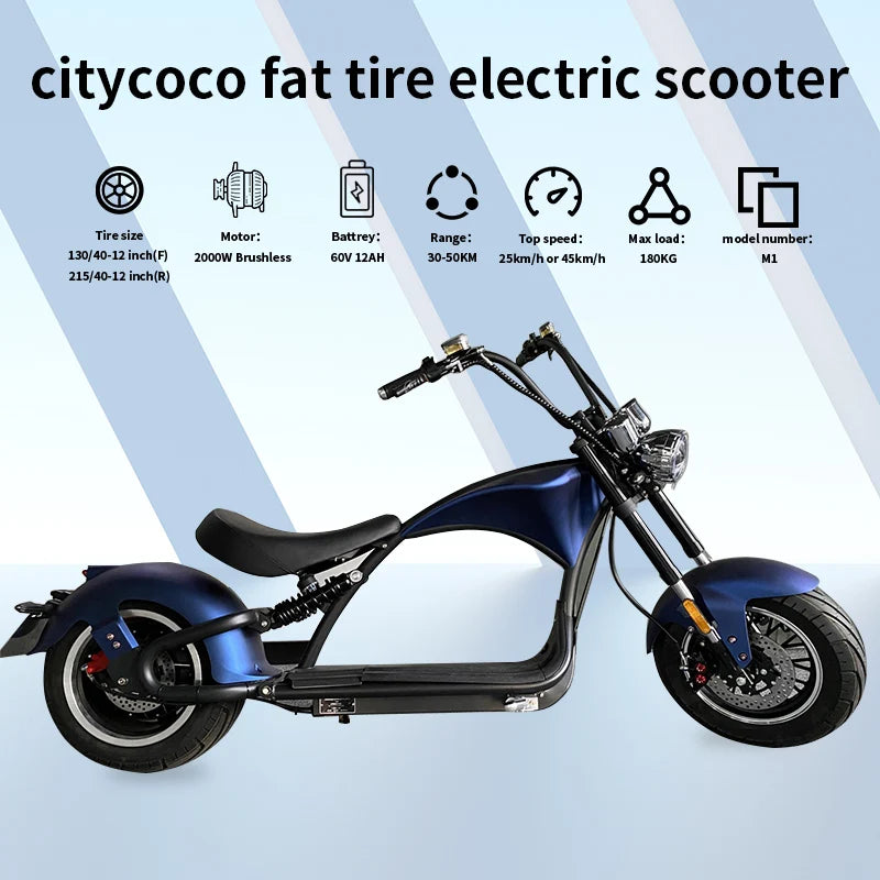 12-Inch 2000W 2-Wheel Self-Balancing Scooter Motorcycle Electric Scooter With CE EEC