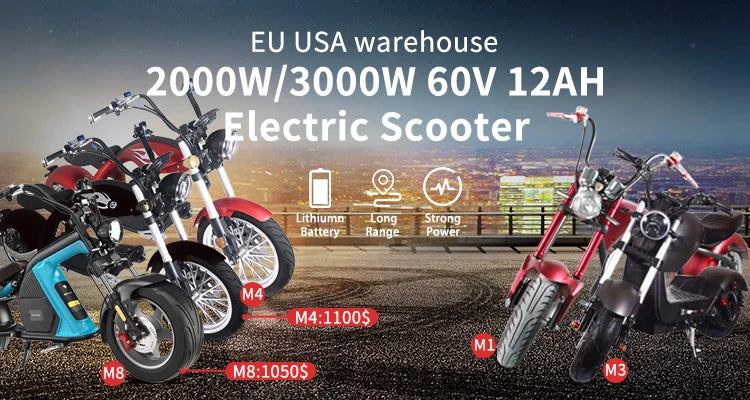 12-Inch 2000W 2-Wheel Self-Balancing Scooter Motorcycle Electric Scooter With CE EEC